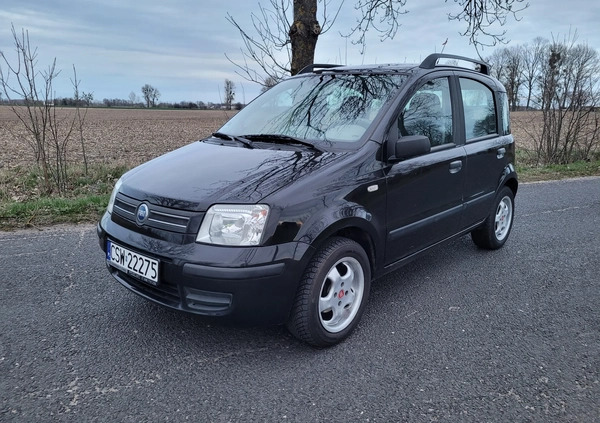 Fiat Panda cena 7900 przebieg: 158000, rok produkcji 2004 z Chełmno małe 352